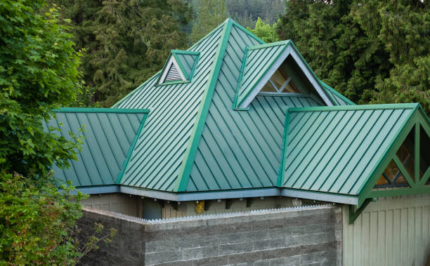 Best Roof Moss and Algae Removal  in Dekal, IL