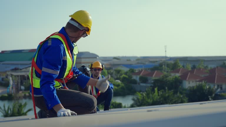 Best Roof Maintenance and Cleaning  in Dekal, IL