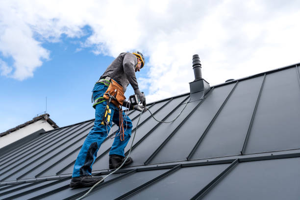 Best Steel Roofing  in Dekal, IL